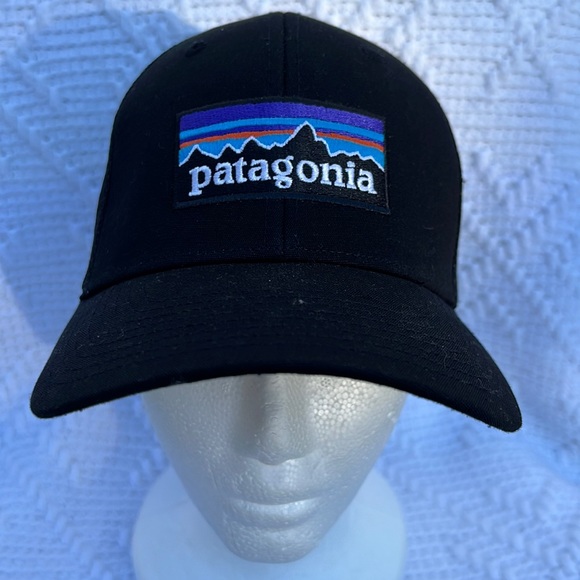 Patagonia Other - Patagonia SnapBack